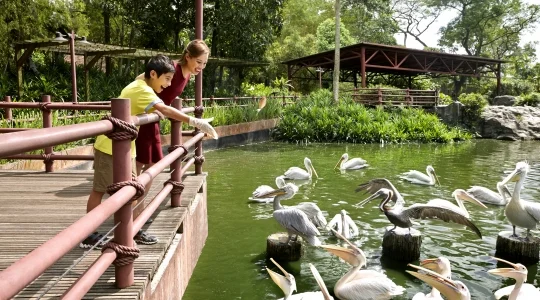 ペリカンコーブ